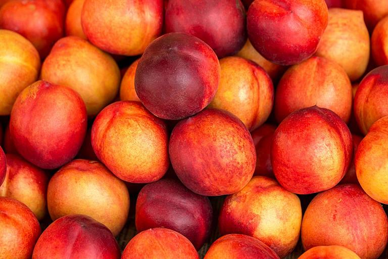 Nectarines